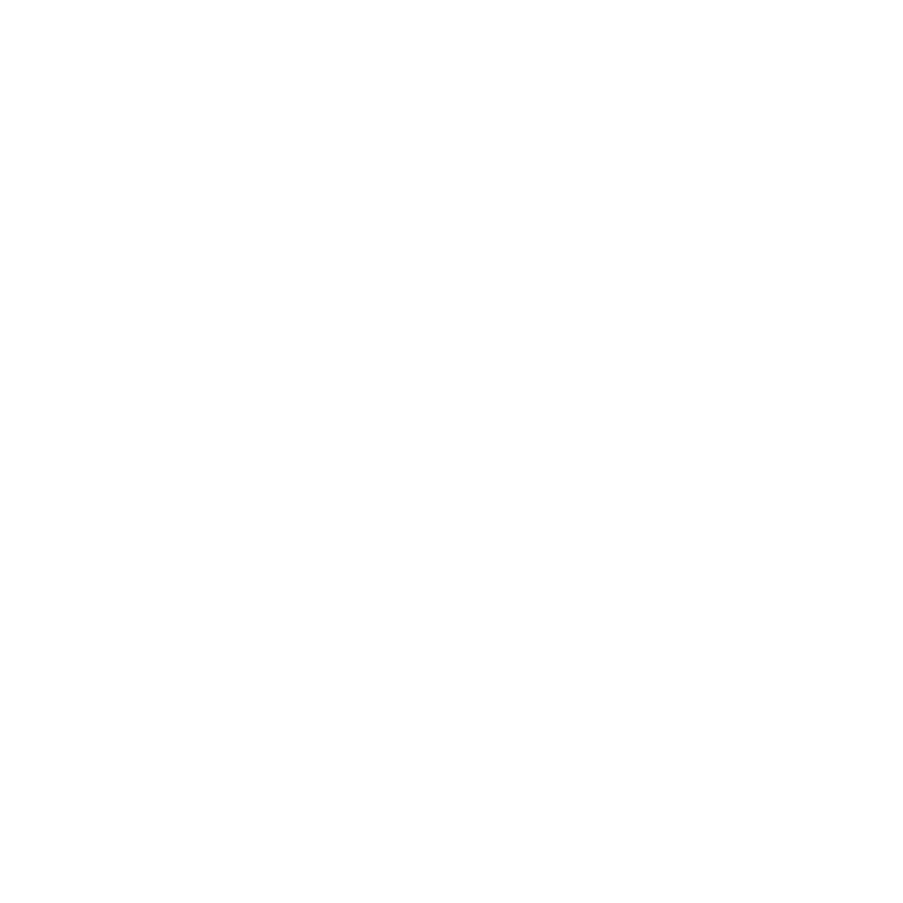 TopAuthent Dorothee Schank Saarbruecken Saarland Deutschland Consulting das Authentische Unternehmen
